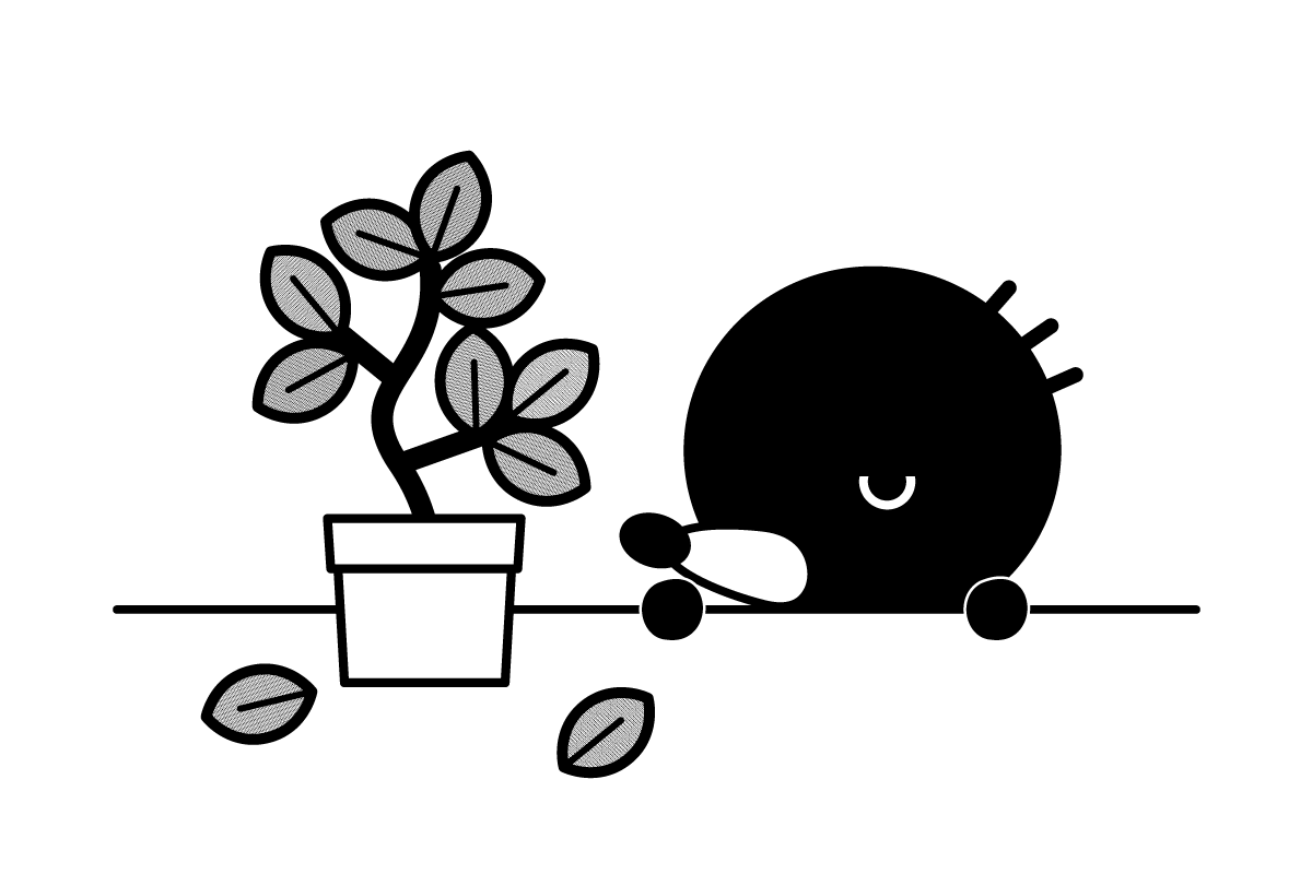 観葉植物